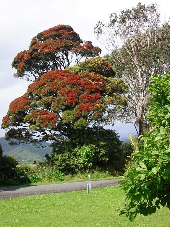 Karamea Holiday Park Bagian luar foto